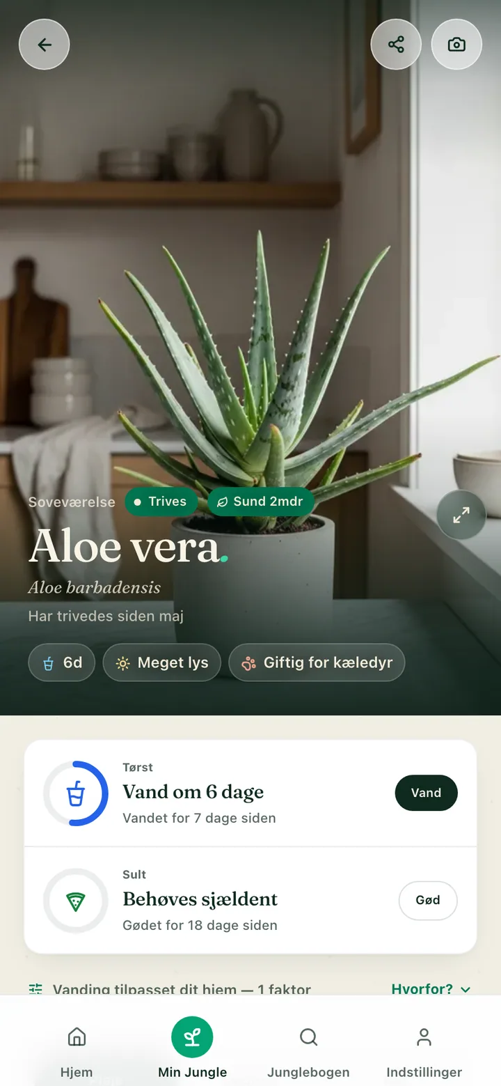 En plantes plejeside i Botanicaly-appen — kradsbørste-calathea med dens behov for vand, lys og luftfugtighed