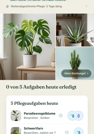 Die Pflegeseite einer Pflanze in der Botanicaly-App — die Korbmarante mit ihrem Bedarf an Wasser, Licht und Luftfeuchtigkeit