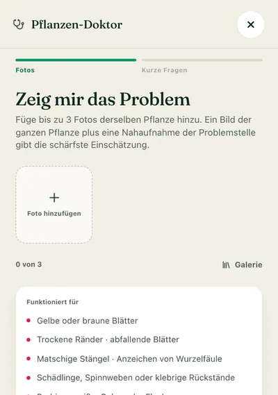 Schnell wieder fit