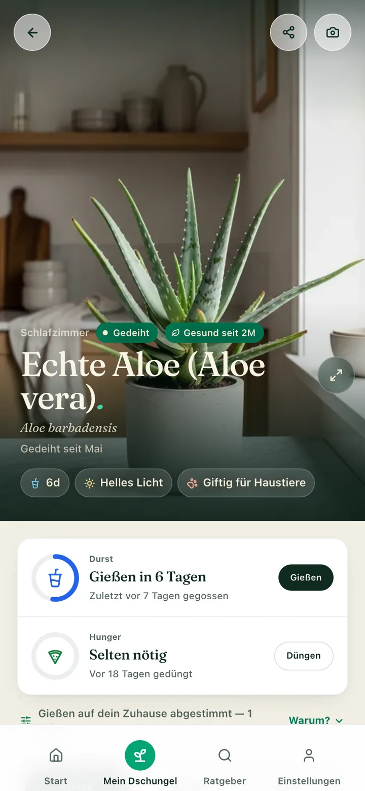 Die Pflegeseite einer Pflanze in der Botanicaly-App — die Korbmarante mit ihrem Bedarf an Wasser, Licht und Luftfeuchtigkeit