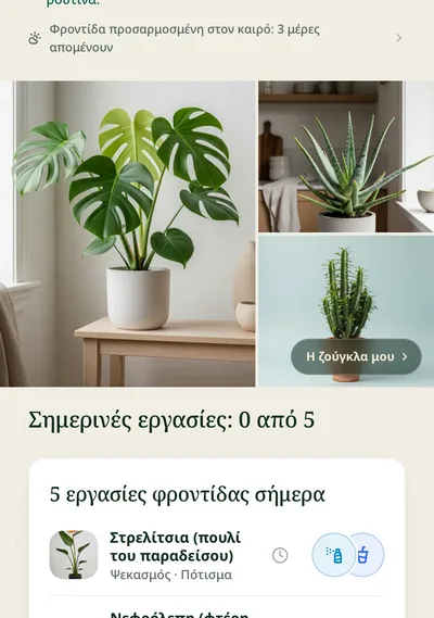 Η σελίδα φροντίδας ενός φυτού στην εφαρμογή Botanicaly — η καλάθεα με τις ανάγκες της σε πότισμα, φως και υγρασία