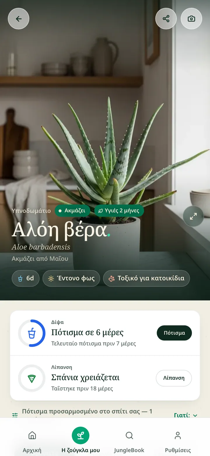 Η σελίδα φροντίδας ενός φυτού στην εφαρμογή Botanicaly — η καλάθεα με τις ανάγκες της σε πότισμα, φως και υγρασία