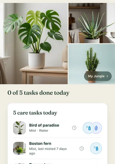 A plant's care page in the Botanicaly app showing the Pinstripe calathea with its watering, light and humidity needs