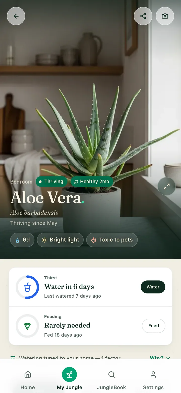 A plant's care page in the Botanicaly app showing the Pinstripe calathea with its watering, light and humidity needs