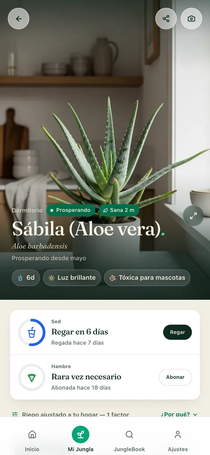 La página de cuidado de una planta en la app Botanicaly — la calatea pinstripe con sus necesidades de riego, luz y humedad