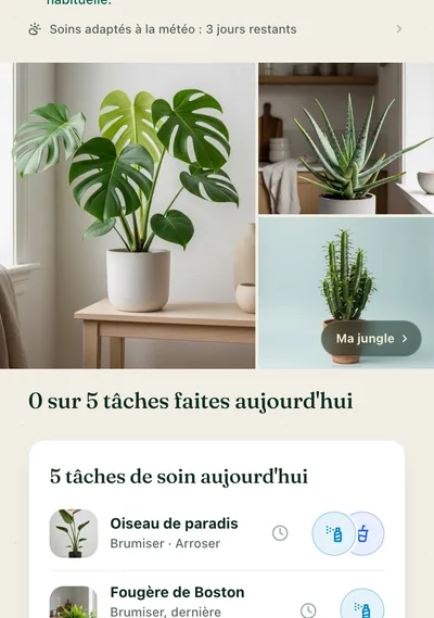 La fiche de soin d'une plante dans l'application Botanicaly — le calathea pinstripe avec ses besoins en arrosage, lumière et humidité
