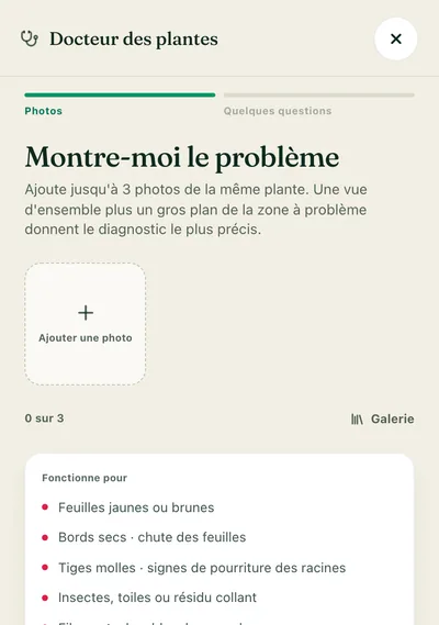 Réglez le problème, vite