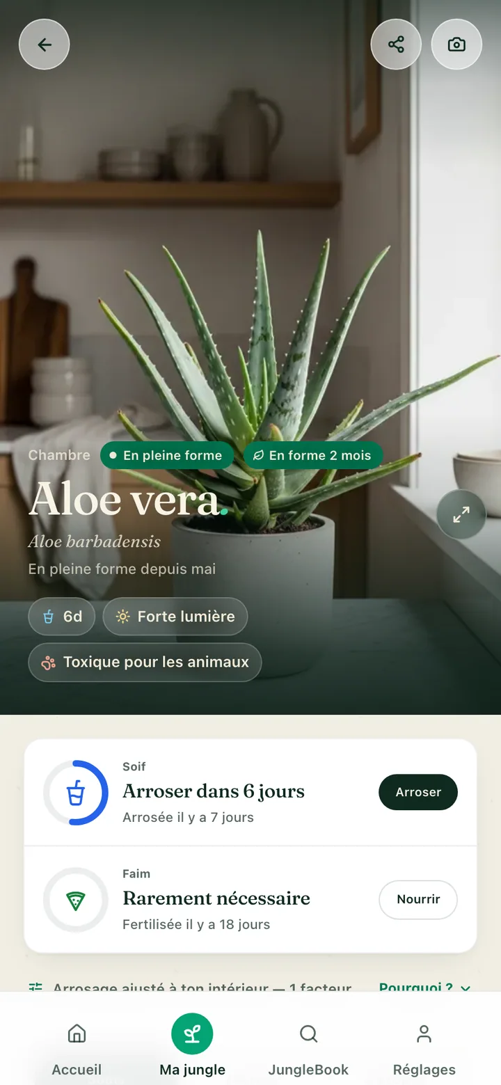 La fiche de soin d'une plante dans l'application Botanicaly — le calathea pinstripe avec ses besoins en arrosage, lumière et humidité