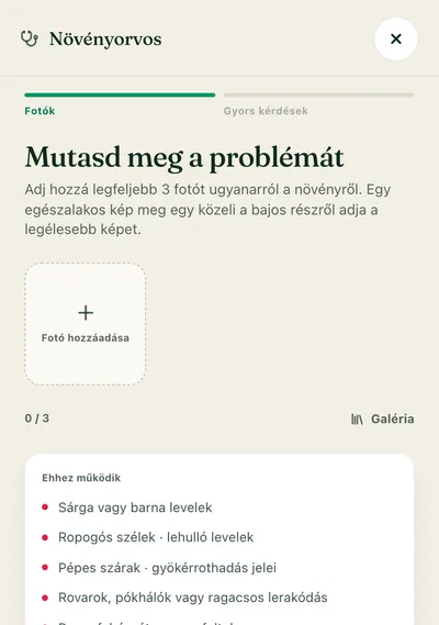 Javítsd ki, gyorsan
