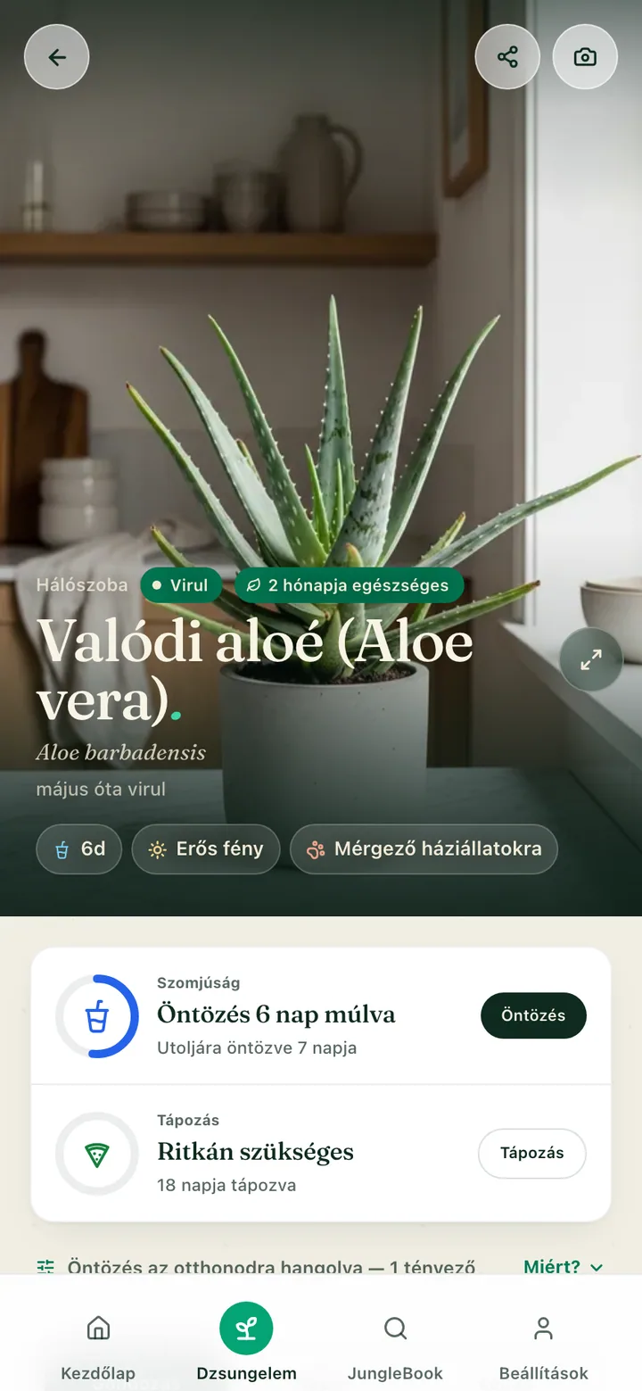 Egy növény gondozási oldala a Botanicaly appban — a pávalevél az öntözési, fény- és páratartalom-igényeivel