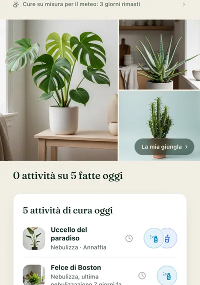 La pagina di cura di una pianta nell'app Botanicaly — la calathea pinstripe con le sue esigenze di acqua, luce e umidità