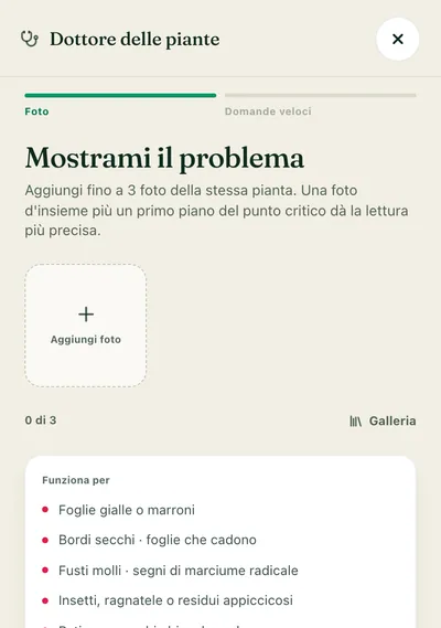 Risolvi, in fretta