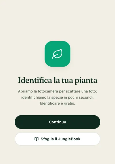 L'enciclopedia JungleBook — una griglia ricercabile di specie verificate a mano con le schede di cura