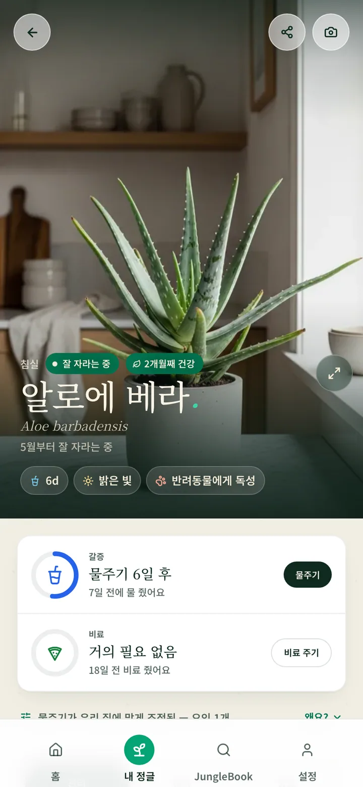 Botanicaly 앱의 식물 관리 페이지 — 물주기, 빛, 습도 요구량이 담긴 핀스트라이프 칼라데아