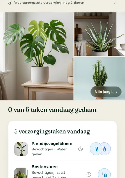 De verzorgingspagina van een plant in de Botanicaly-app — de Calathea ornata met zijn water-, licht- en luchtvochtigheidsbehoeften