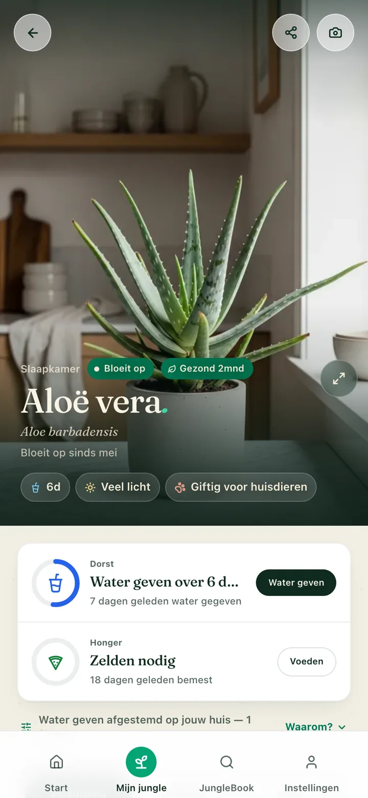 De verzorgingspagina van een plant in de Botanicaly-app — de Calathea ornata met zijn water-, licht- en luchtvochtigheidsbehoeften