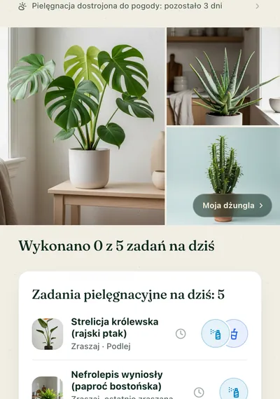 Strona pielęgnacji rośliny w aplikacji Botanicaly — kalatea z jej potrzebami podlewania, światła i wilgotności