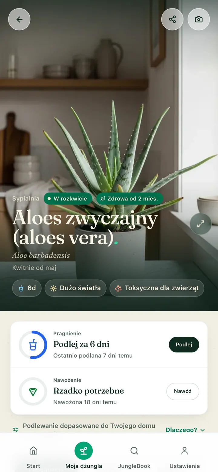 Strona pielęgnacji rośliny w aplikacji Botanicaly — kalatea z jej potrzebami podlewania, światła i wilgotności