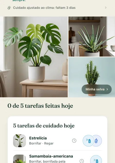 A página de cuidados de uma planta no app Botanicaly — a calathea pinstripe com suas necessidades de rega, luz e umidade