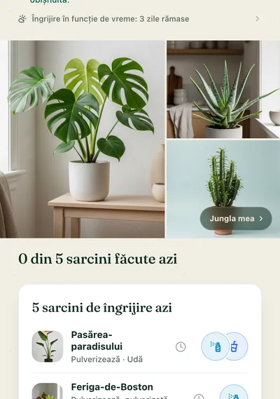 Pagina de îngrijire a unei plante în aplicația Botanicaly — Calathea cu dungi, cu nevoile ei de udare, lumină și umiditate