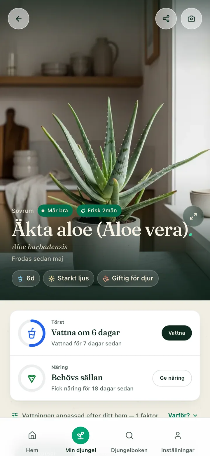 En växts vårdsida i Botanicaly-appen — pinstripe-calathean med sina behov av vatten, ljus och luftfuktighet