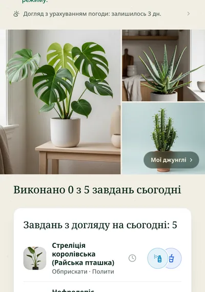 Сторінка догляду за рослиною в застосунку Botanicaly — калатея з її потребами в поливі, світлі та вологості