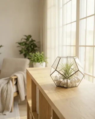 Tillandsie (Tillandsia ionantha)