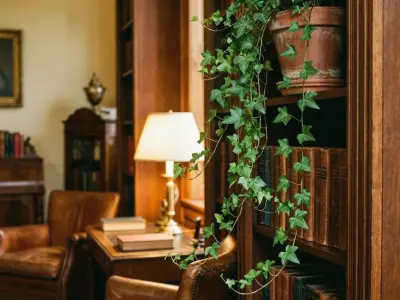 Vedbend (Hedera helix)