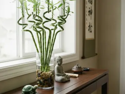Lykkebambus (Dracaena sanderiana)