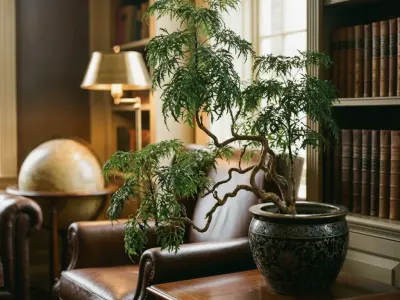 Ming aralie (Polyscias fruticosa)